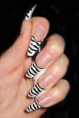 /album/fotogaljerjeja/tiger-zebra-nails-2-jpg/